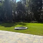 Experience Nature With Near Forest And *
