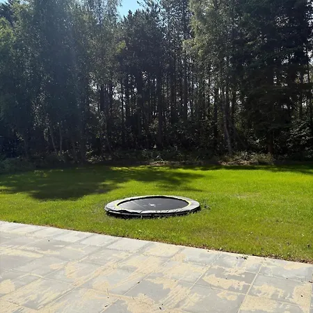 Experience Nature With Near Forest And *